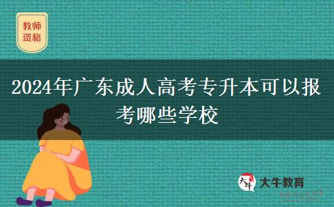 2024年廣東成人高考專升本可以報考哪些學校