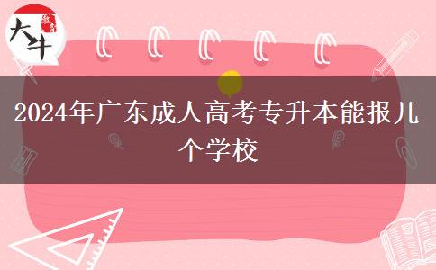 2024年廣東成人高考專升本能報(bào)幾個(gè)學(xué)校