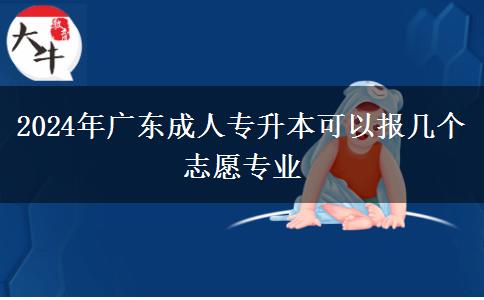 2024年廣東成人專升本可以報幾個志愿專業(yè)