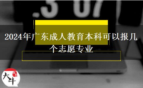 2024年廣東成人教育本科可以報(bào)幾個(gè)志愿專業(yè)