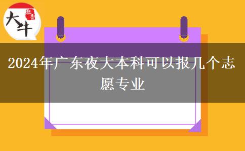 2024年廣東夜大本科可以報(bào)幾個(gè)志愿專(zhuān)業(yè)