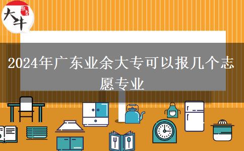 2024年廣東業(yè)余大?？梢詧髱讉€志愿專業(yè)