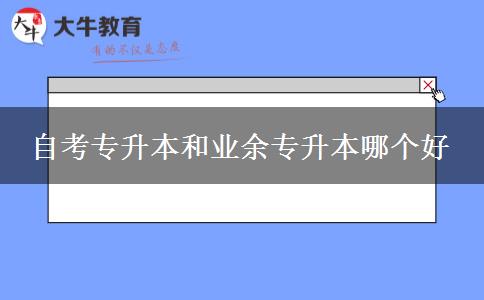 自考專升本和業(yè)余專升本哪個(gè)好