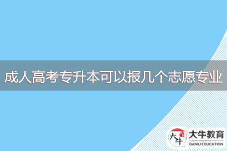 成人高考專升本可以報(bào)幾個(gè)志愿專業(yè)