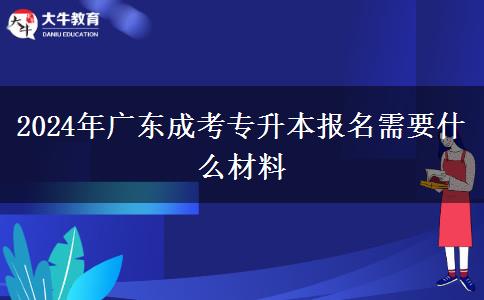 2024年廣東成考專升本報(bào)名需要什么材料