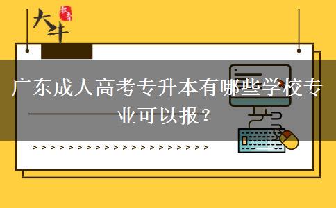 廣東成人高考專升本有哪些學校專業(yè)可以報？