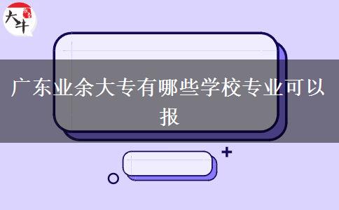 廣東業(yè)余大專有哪些學(xué)校專業(yè)可以報