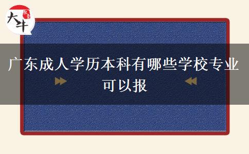 廣東成人學(xué)歷本科有哪些學(xué)校專業(yè)可以報