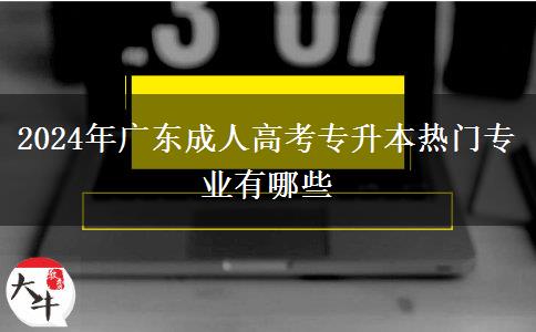 2024年廣東成人高考專升本熱門專業(yè)有哪些