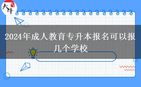 2024年成人教育專升本報(bào)名可以報(bào)幾個(gè)學(xué)校