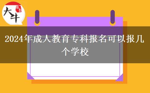 2024年成人教育?？茍竺梢詧髱讉€學校