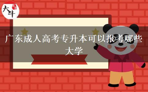 廣東成人高考專升本可以報考哪些大學