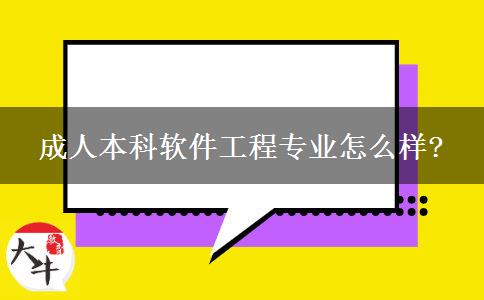 成人本科軟件工程專業(yè)怎么樣?