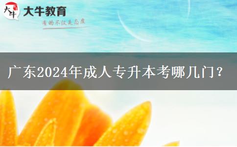 廣東2024年成人專升本考哪幾門？