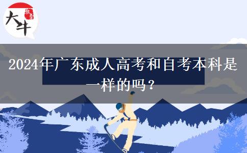 2024年廣東成人高考和自考本科是一樣的嗎？