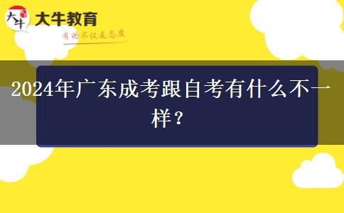 2024年廣東成考跟自考有什么不一樣？