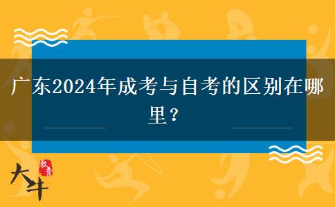 廣東2024年成考與自考的區(qū)別在哪里？