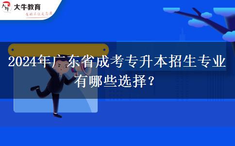 2024年廣東省成考專升本招生專業(yè)有哪些選擇？