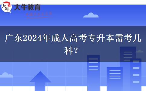 廣東2024年成人高考專升本需考幾科？