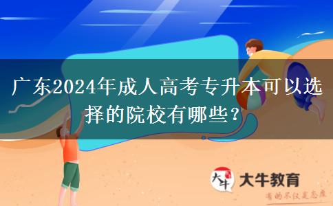 廣東2024年成人高考專升本可以選擇的院校有哪些？