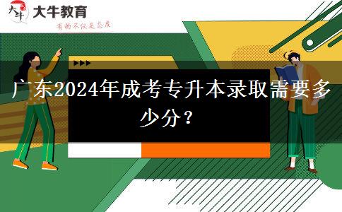 廣東2024年成考專升本錄取需要多少分？