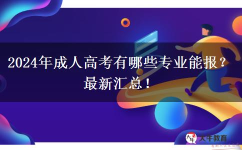 2024年成人高考有哪些專業(yè)能報？最新匯總！