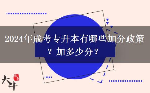 2024年成考專升本有哪些加分政策？加多少分？