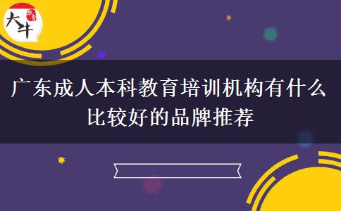 廣東成人本科教育培訓(xùn)機構(gòu)有什么比較好的品牌推薦