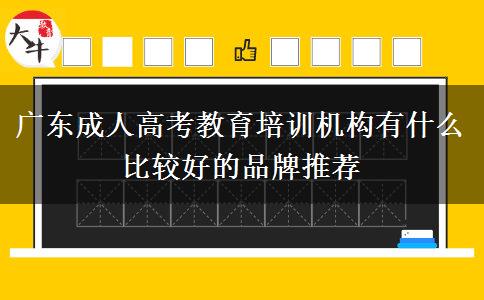 廣東成人高考教育培訓(xùn)機(jī)構(gòu)有什么比較好的品牌推薦