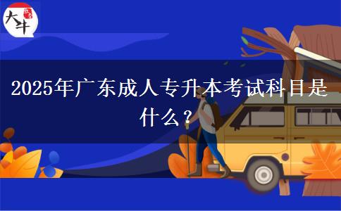 2025年廣東成人專升本考試科目是什么？